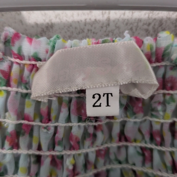 Baby Sara Butterfly Dress Size 2T Floral Tulle - Picture 6 of 6